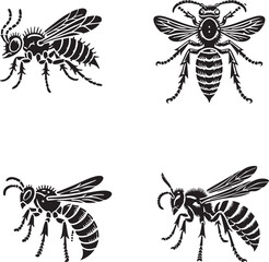 Detailed Silhouette of a Ground Wasp Isolated on White Background in Monochrome