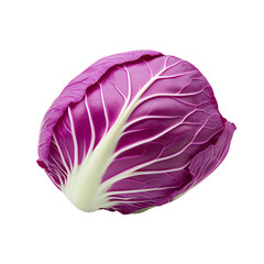 Obraz premium Asian and Chinese style Fresh, vibrant, purple cabbage isolated.