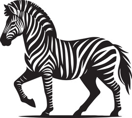 Fototapeta premium A zebra that is black and white 
