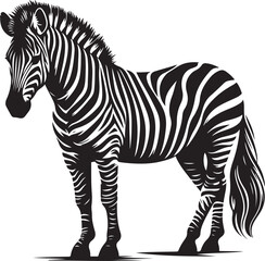 Obraz premium A zebra that is black and white 