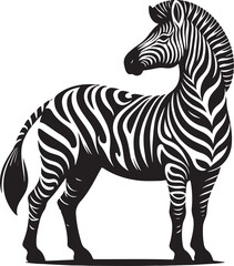 Fototapeta premium A zebra that is black and white 