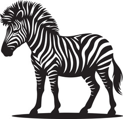 Obraz premium A zebra that is black and white 
