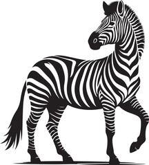 Fototapeta premium A zebra that is black and white 