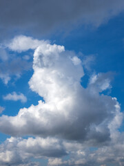Fototapeta premium abstract background of blue sky