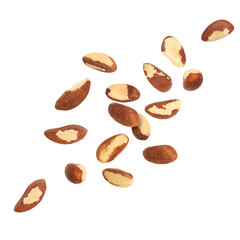 Many Brazil nuts in air on white background
