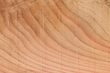 texture of wood, texture background, background, wooden background, wood texture, Close-up of Wood texture, natural wood pattern, Old wood texture background, Abstract texture