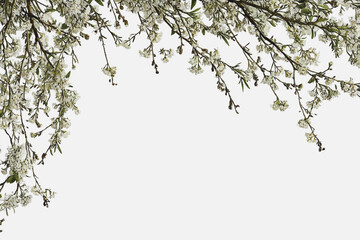 Elegant wedding invitation card background vector. Minimal hand painted watercolor botanical flowers texture template background. Design for wedding, vip cover, poster, rsvp moderncard.Valentine's Day