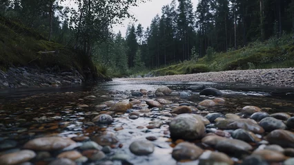 Water flowing in the shallow river with pebble rock, forest with tall green tree, nature landscape