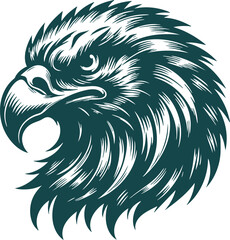 Powerful Eagle with Ferocious Look and Wild Expression
