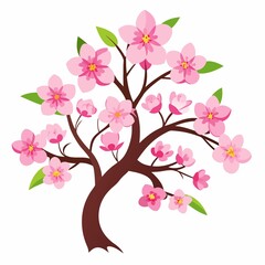 cherry blossom tree
