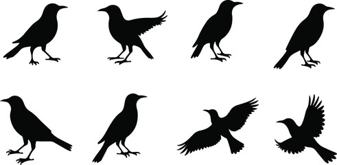 Collection of Bird Silhouette Vector Illustrations