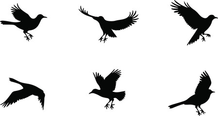Collection of Bird Silhouette Vector Illustrations