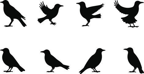 Collection of Bird Silhouette Vector Illustrations