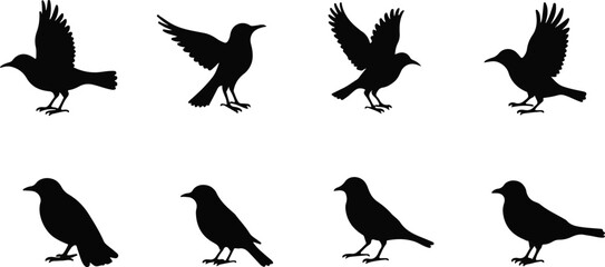 Collection of Bird Silhouette Vector Illustrations