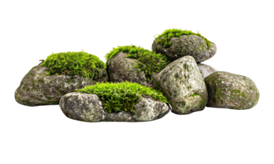 Moss covered rocks isolated on white background