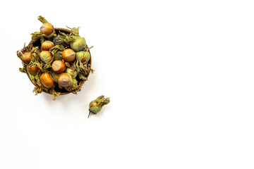 Fresh filbert nuts or hazelnuts with leafy shells, top view