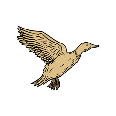 illustration vector graphic duck for design, template, elemen, illustration, etc