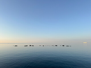 Sea reef stretching into the horizon