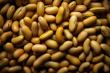 Assorted Raw Beans Close-Up &ndash; Healthy Organic Legumes Texture Background
