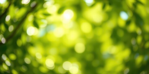 Abstract Green Nature Background Soft Focus of Lush Foliage and Sunlight