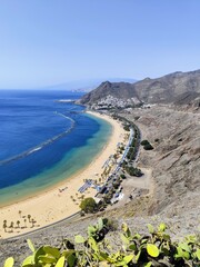 A panoramic view of Playa de las Teresitas taken from above, with clear skies, sunny weather, and cacti in the foreground, capturing the stunning beach and coastal beauty.

