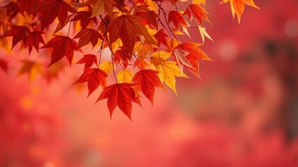 Autumnal foliage branch with vibrant red and orange leaves against a blurred background