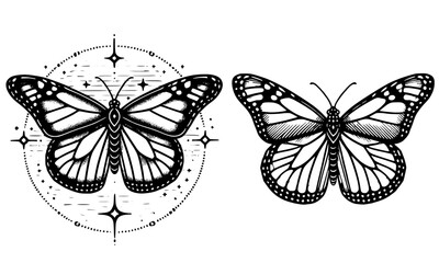 butterfly illustration, butterfly vector 