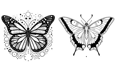 black and white butterfly, black and white butterfly, butterfly vector