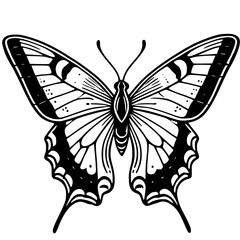 Silhouette of butterfly, butterfly illustration