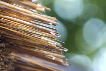 Abstract photo of straw straws used on the roof of a gazebo. Drops of water at the end of the...