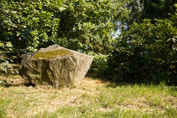 Large decorative stone in the park. Large stone, natural decoration. Park, nature, big stone in the park.