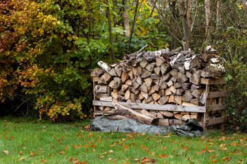 Woodpile on the grass near the forest