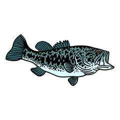 illustration vector graphic fish for design, template, elemen, illustration, etc