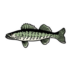 illustration vector graphic fish for design, template, elemen, illustration, etc