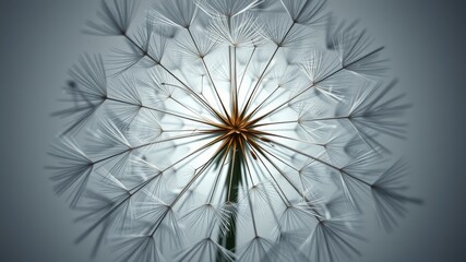 A Detailed Close-Up of a Dandelion Seed Head, Revealing Intricate Details and Delicate Textures
