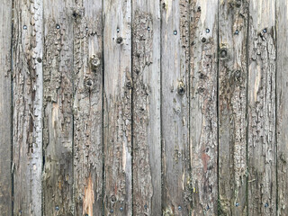 pared muro de madera separador con textura casa cabaña granja IMG_9046-as25