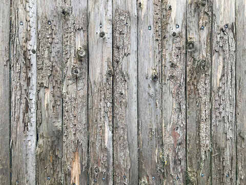 pared muro de madera separador con textura casa caba&ntilde;a granja IMG_9046-as25