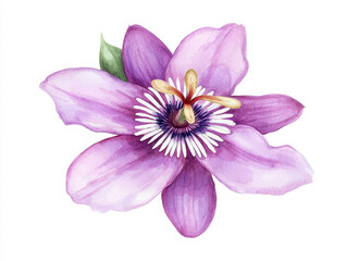 Watercolor painting of vibrant passionflower with delicate petals and details