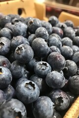 closeup of a pile of fresh blueberries background
