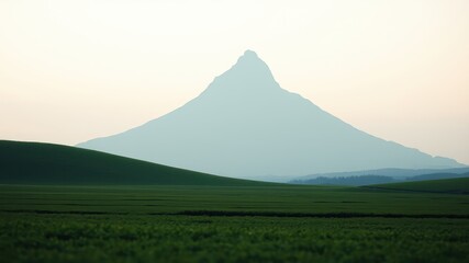 Serene landscape featuring a majestic, hazy mountain peak overlooking a vast expanse of verdant farmland
