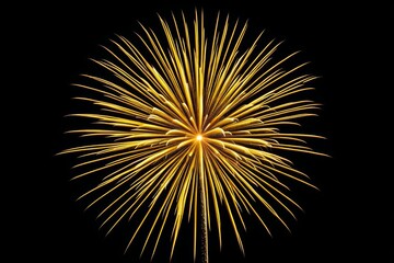 Fototapeta premium fireworks in the sky with a black background