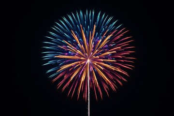Fototapeta premium fireworks in the sky with a jet flying by