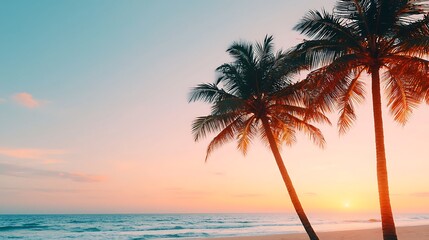 Silhouetted palm trees on a tropical beach at sunset.