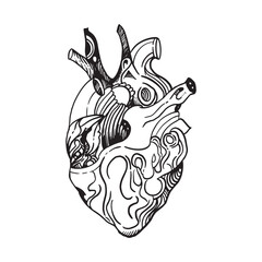 intricate black ink drawing depict detailed human heart, suitable for medicals books, anatomy studying, and heathcare advertisements.