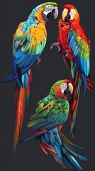 Obraz premium Brightly colored parrots on a black background. Ideal for illustrations related to nature, tropical themes and interior design with exotic motifs.