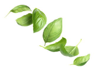Fresh basil leaves in air on white background, set