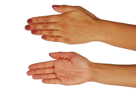 Woman Hands, woman hands front and back, hand cutout on transparent background, cutout for advertising, medical health care publications