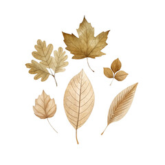 Obraz premium Cute autumn leaves watercolor illustration for kids clothes and prints isolated clipart