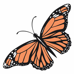 Butterfly with Orange and Black Wings Flies on a White Background. Ethereal Butterfly Winged Silhouette Illustration. Mythical Garden Decor. Colorful Monarch Metamorphosis Closeup. Tropical Element.