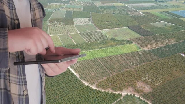 Smart digital agriculture technology by futuristic sensor data collection management by artificial intelligence to control quality of crop growth and harvest. Computer aided plantation grow concept.
